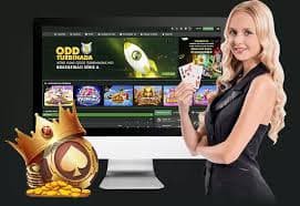 Bingo ဂိမ်းများ